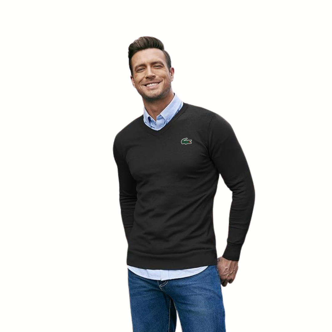 LC™ Men’s Casual V-Neck Sweater